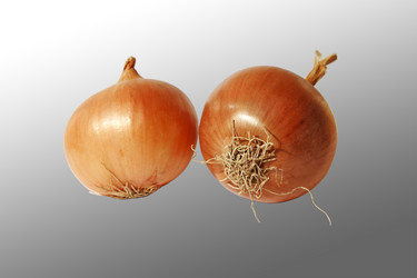 Similar image 777471