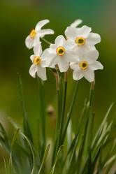 Similar image 777472