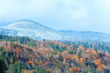 Similar image 777501