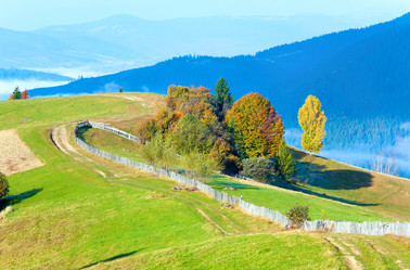 Similar image 777508