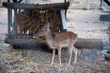 Similar image 777528