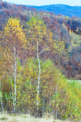 Similar image 777544