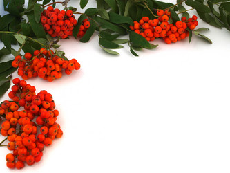 Similar image 777548