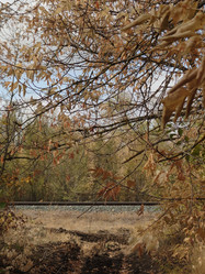 Similar image 777559