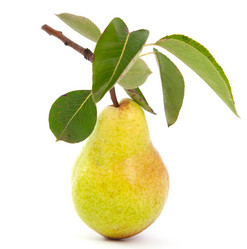 Similar image 777565