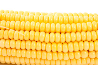 Similar image 777569