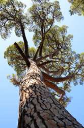 Similar image 777600