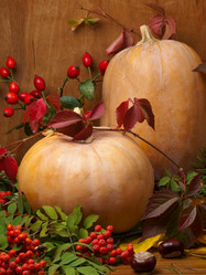 Similar image 777602