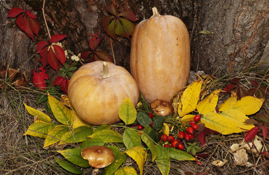 Similar image 777603