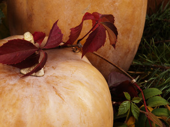 Similar image 777604