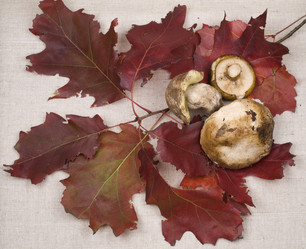 Similar image 777615