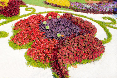 Similar image 777635