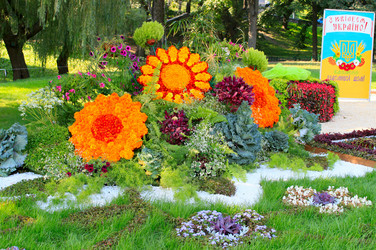 Similar image 777636