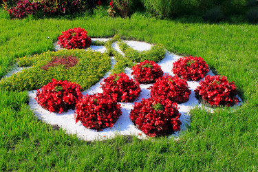 Similar image 777637