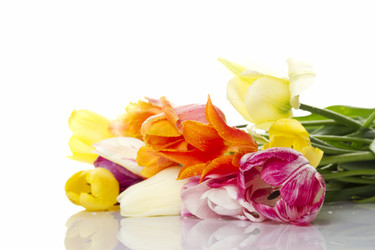 Similar image 777649