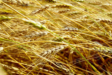 Similar image 777661