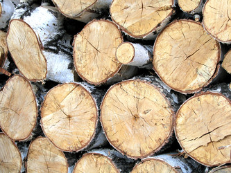 Similar image 777719