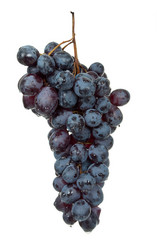 Similar image 777723