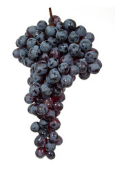 Similar image 777742