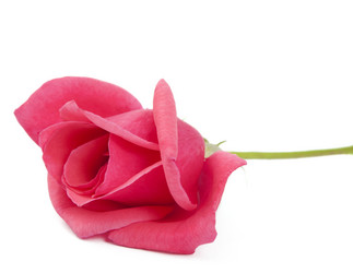 Similar image 777768