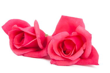 Similar image 777769