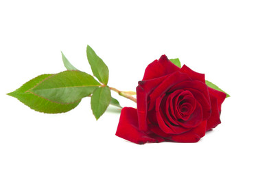 Similar image 777772