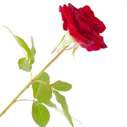 Similar image 777775