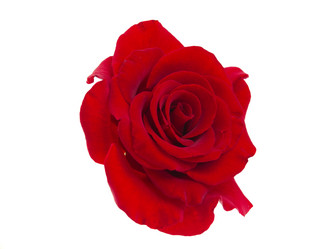 Similar image 777778