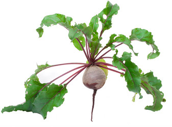 Similar image 777783