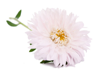 Similar image 777788