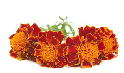 Similar image 777790