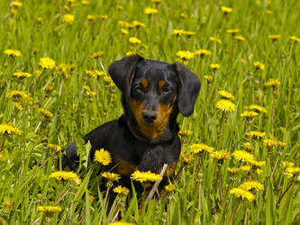 Similar image 777791