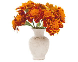 Similar image 777797