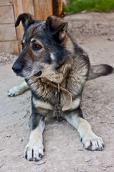 Similar image 777801