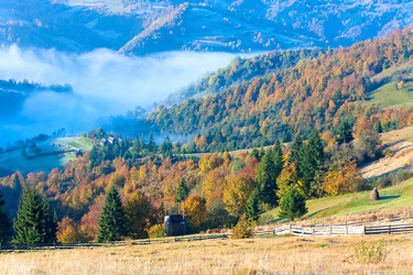 Similar image 777896