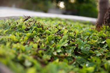 Similar image 777910