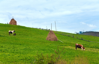 Similar image 777912