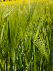 Similar image 777918