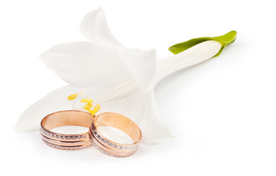 Similar image 778033