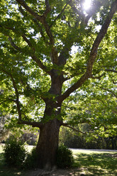 Similar image 778173