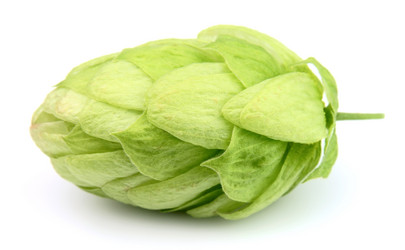 Similar image 778193