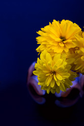 Similar image 778253