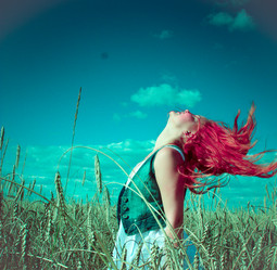 Similar image 778266