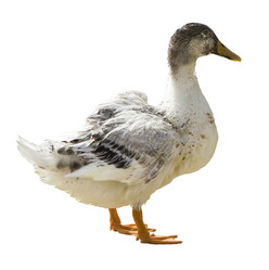 Similar image 778286