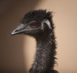 Similar image 778291