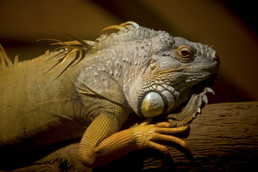 Similar image 778294