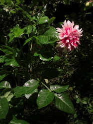 Similar image 778328