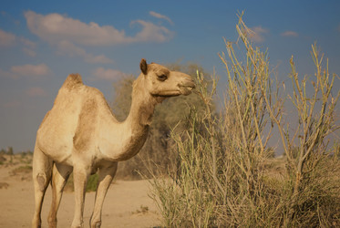 Similar image 778336