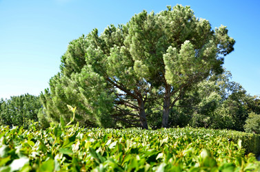 Similar image 778439