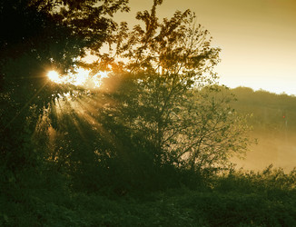 Similar image 778440